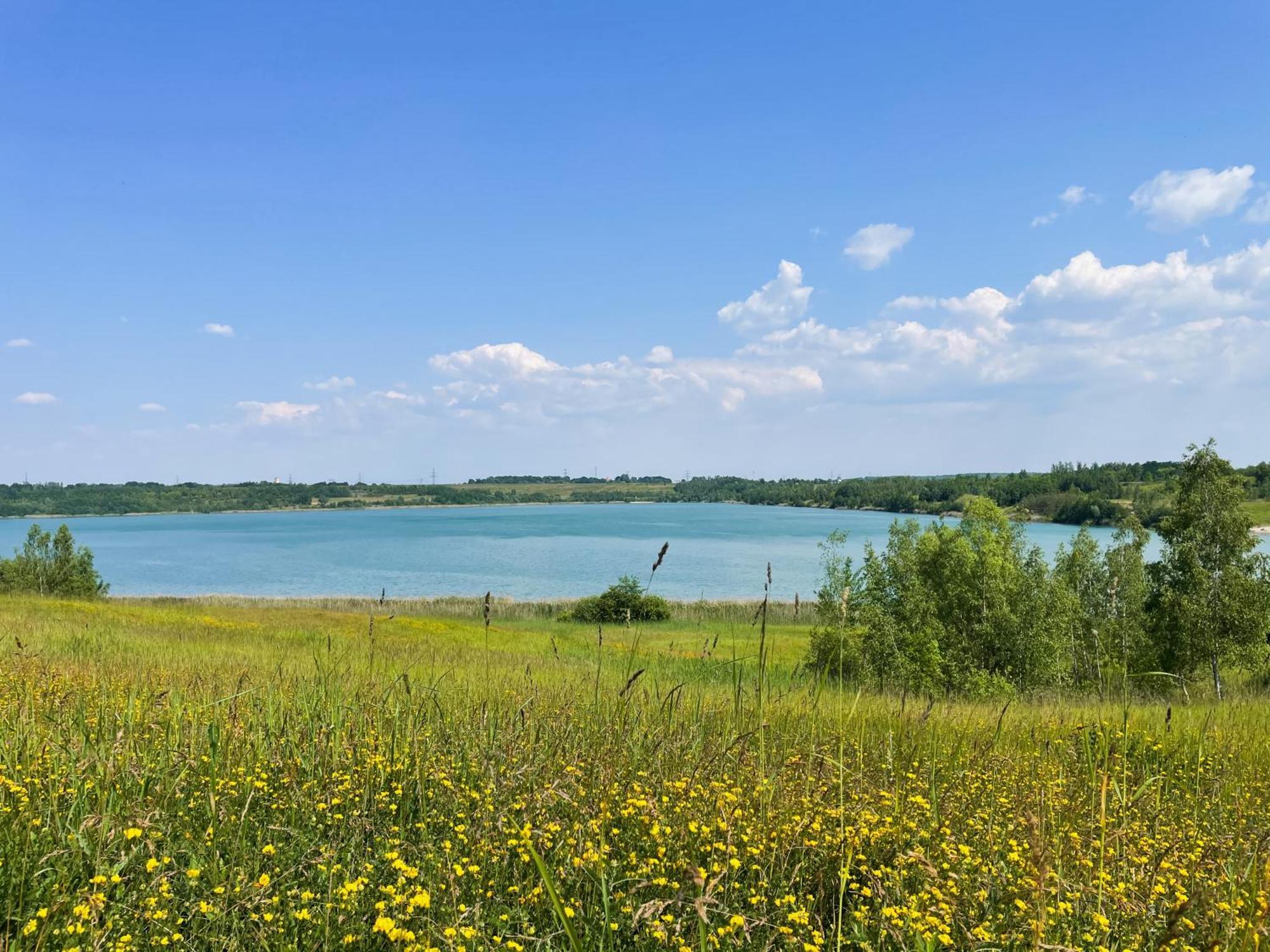 Haus Im Schilf 2 - Ferienwohnungen Am Hainer See Bei Leipzig Neukieritzsch Bagian luar foto